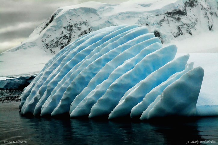 Antarctica photo by Anatoly Beloshchin