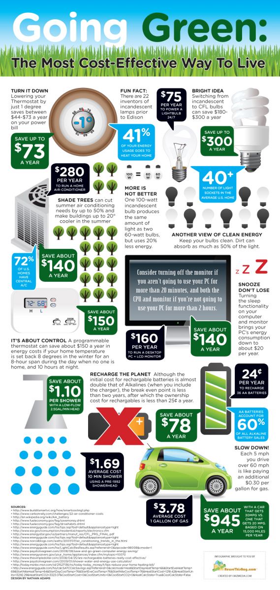Going Green Infographic