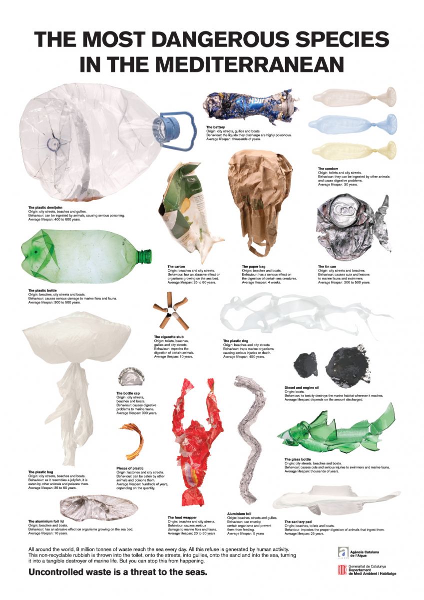 Trash Fish Infographic